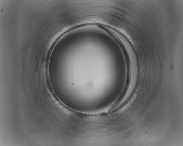 X0000070191134200606021051