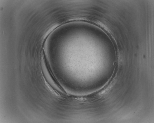 X0000070191137200606021051