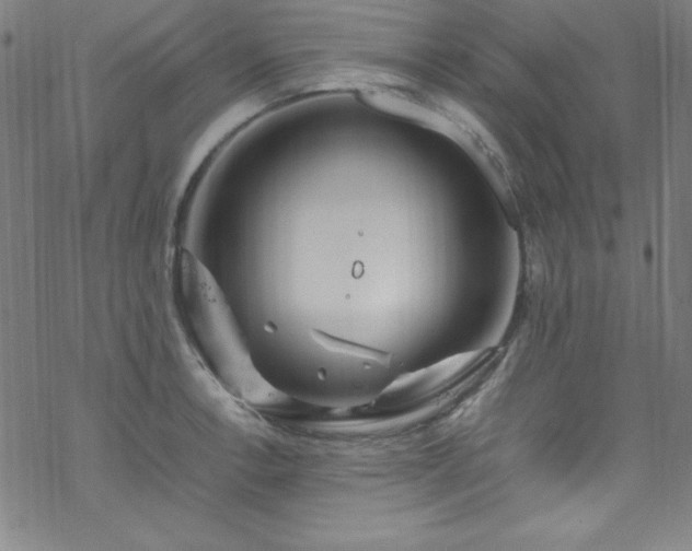 X0000070191138200606021051