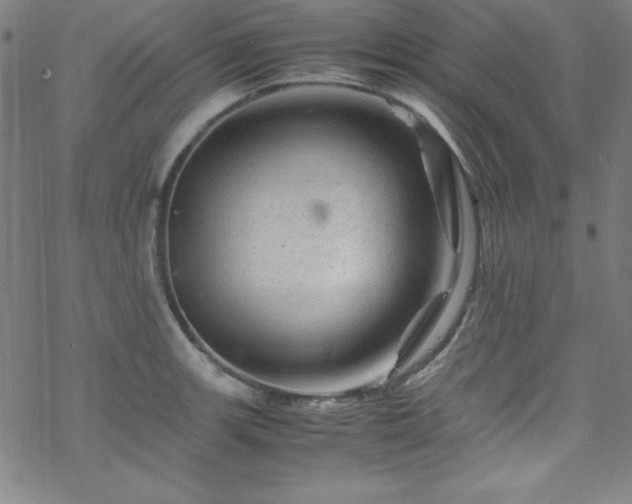 X0000070191139200606021051