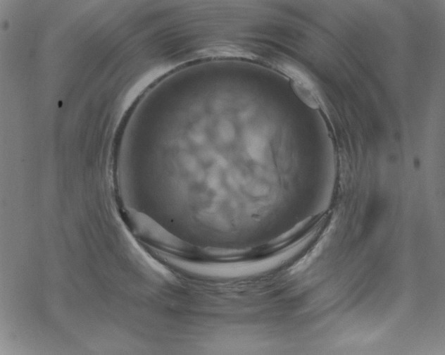 X0000070191141200606021051