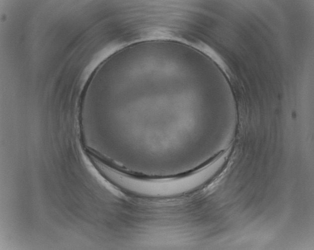 X0000070191142200606021051