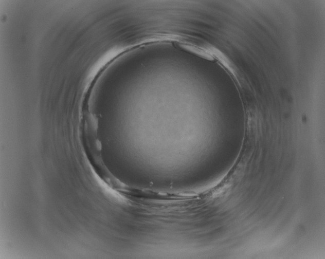 X0000070191143200606021051