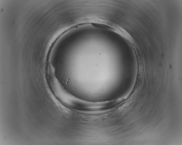 X0000070191144200606021051