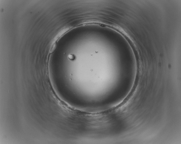 X0000070191145200606021051