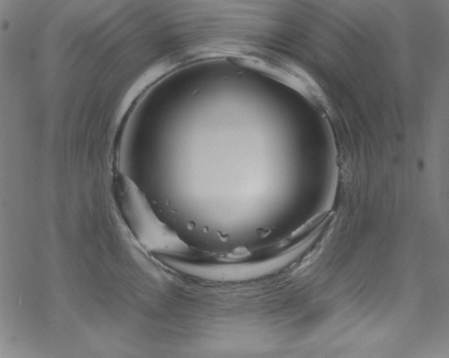 X0000070191146200606021051