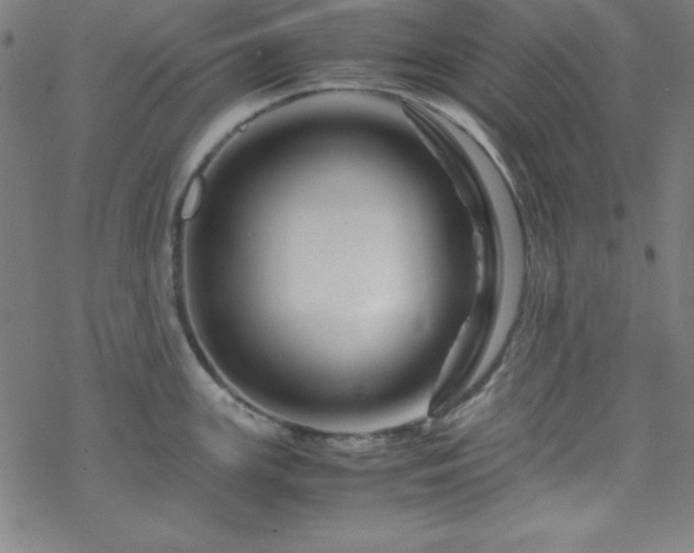 X0000070191147200606021051