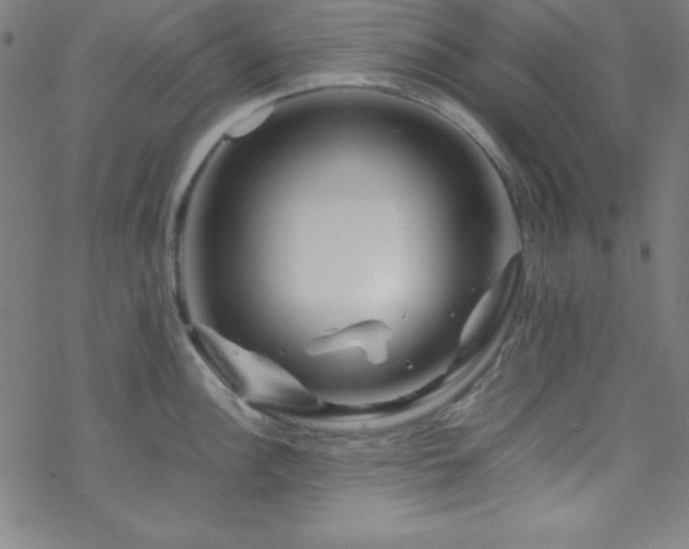 X0000070191148200606021051