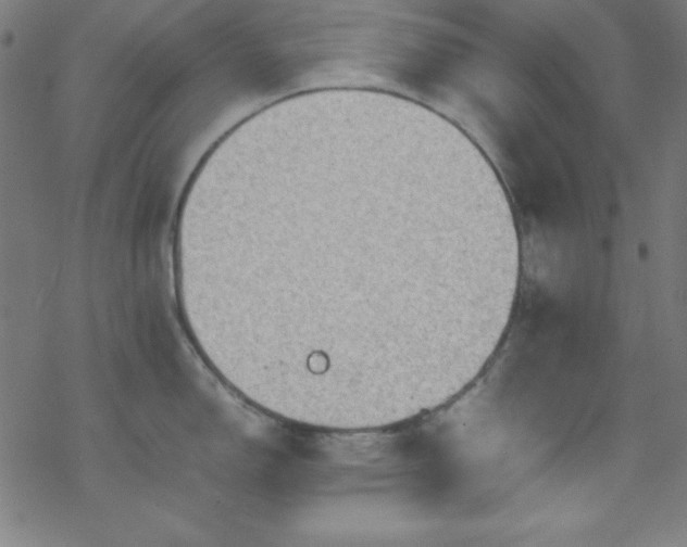 X0000070191150200606021051