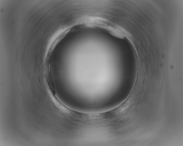 X0000070191152200606021051