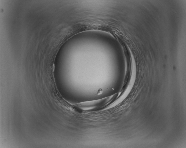 X0000070191153200606021050