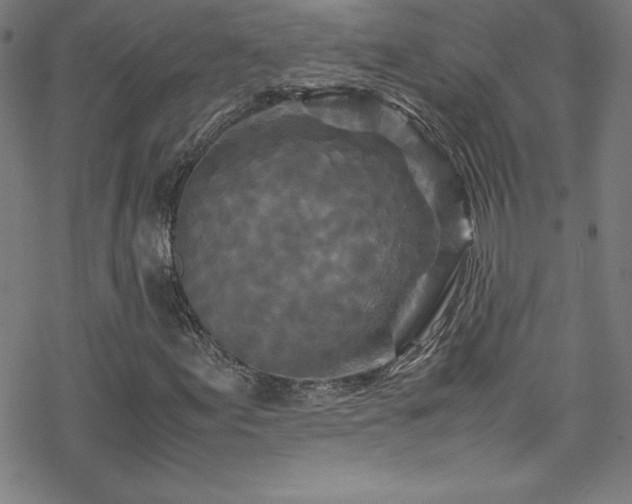 X0000070191155200606021050