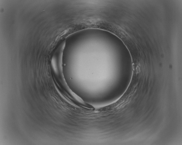 X0000070191156200606021050