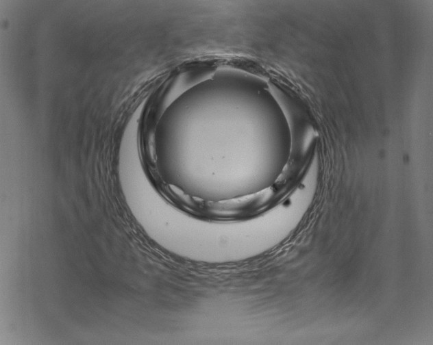 X0000070191157200606021050