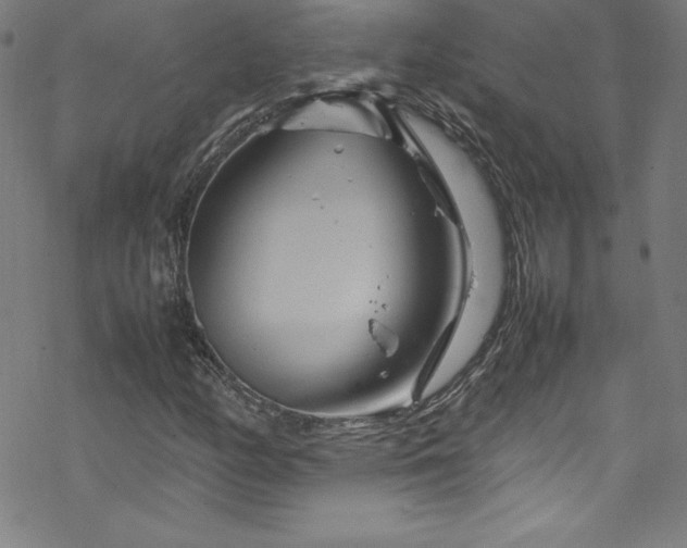 X0000070191158200606021050