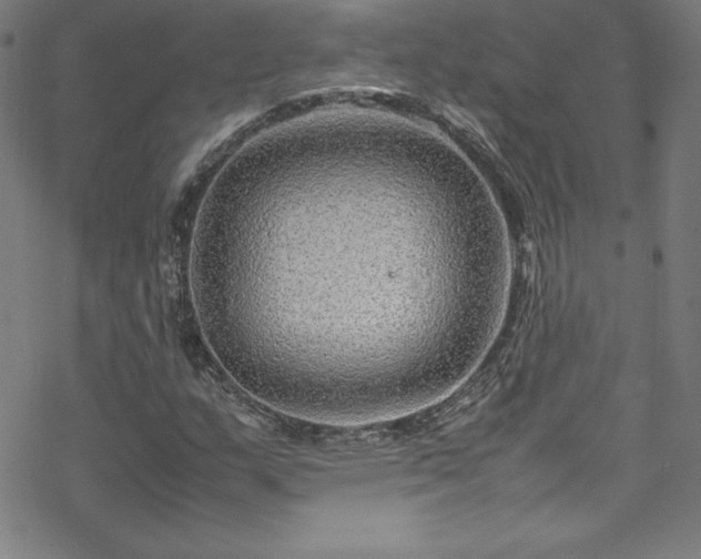 X0000070191159200606021050