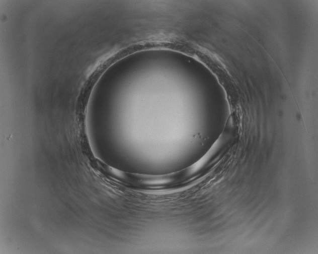 X0000070191160200606021050