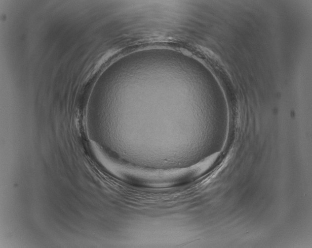 X0000070191161200606021050