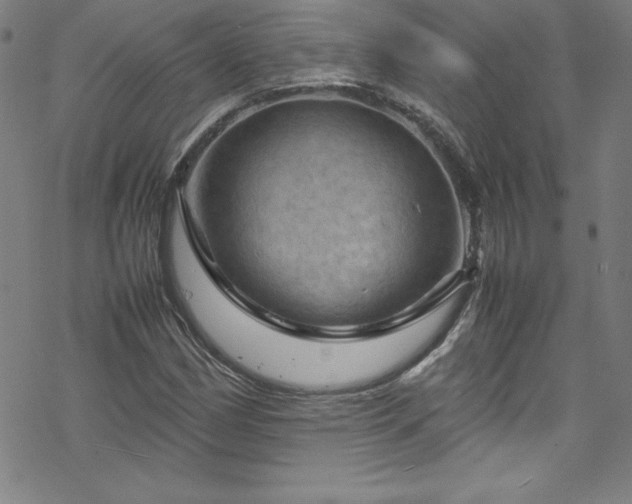 X0000070191162200606021050