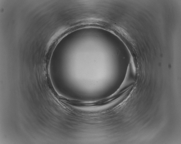 X0000070191164200606021050