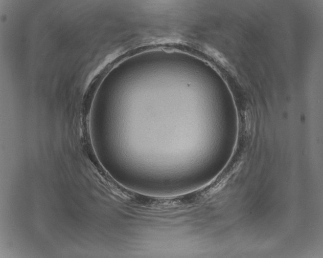 X0000070191165200606021050