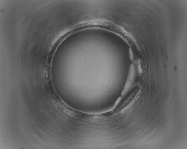 X0000070191166200606021050