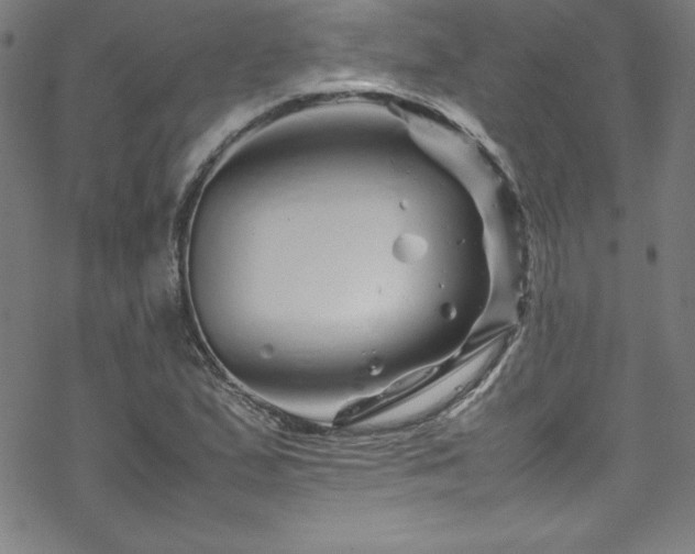 X0000070191167200606021050