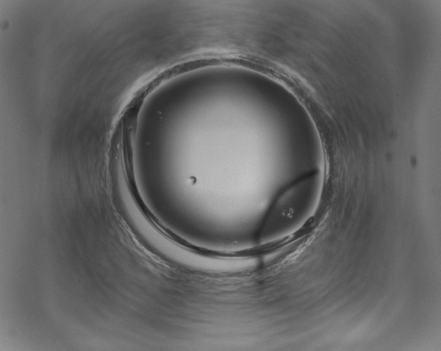 X0000070191168200606021050