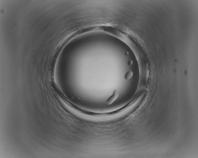 X0000070191169200606021050