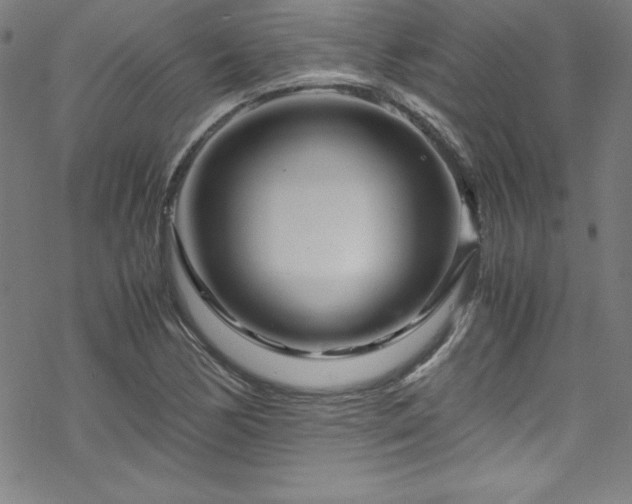 X0000070191170200606021050