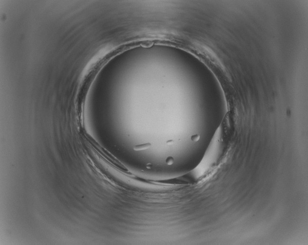 X0000070191172200606021050