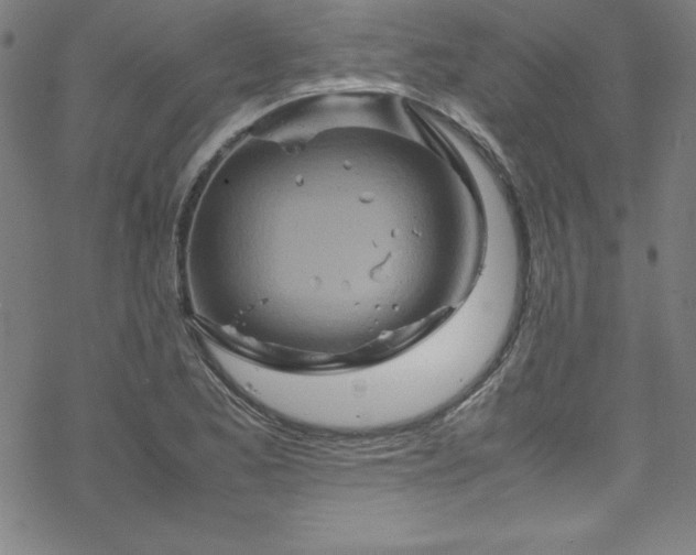 X0000070191173200606021050