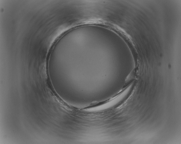 X0000070191174200606021050