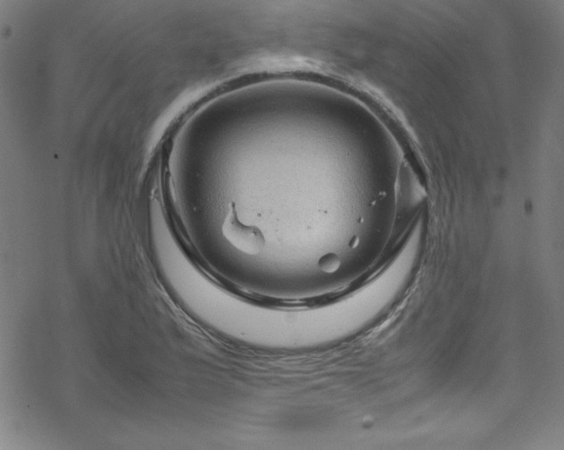 X0000070191175200606021050