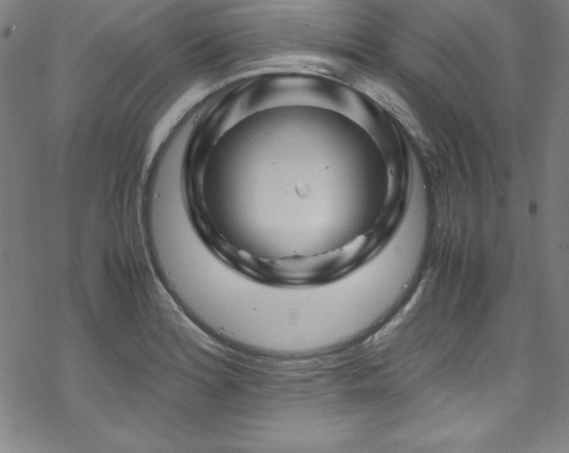 X0000070191180200606021050