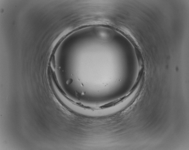 X0000070191181200606021050