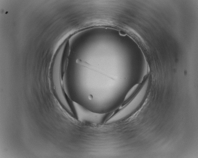 X0000070191182200606021050