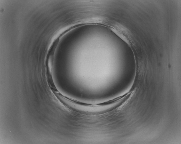 X0000070191184200606021050