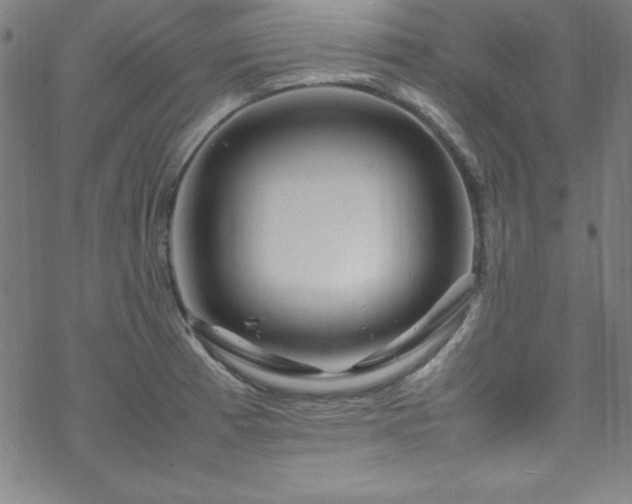 X0000070191185200606021050