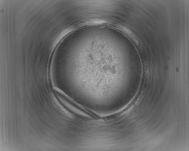 X0000070191186200606021050