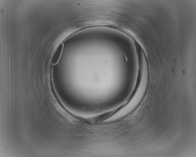 X0000070191187200606021050