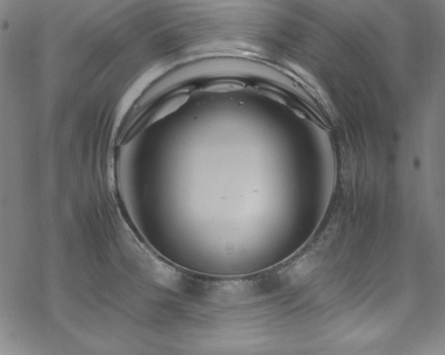 X0000070191188200606021049