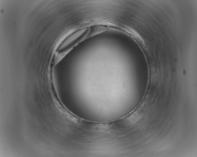 X0000070191190200606021049