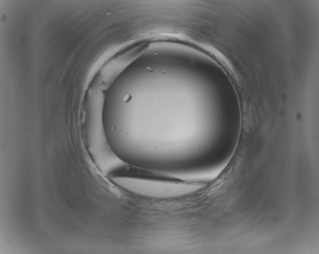 X0000070191191200606021049