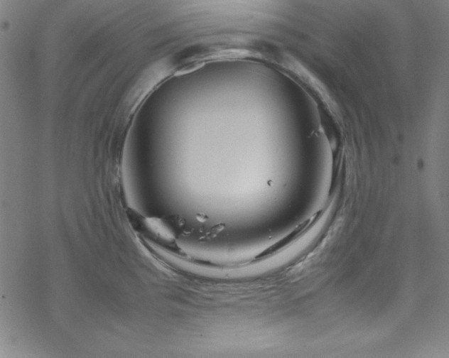 X0000070191193200606021049