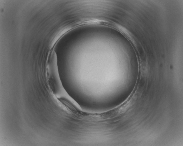 X0000070191194200606021049