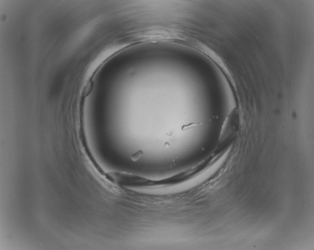 X0000070191195200606021049