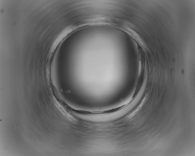 X0000070191196200606021049