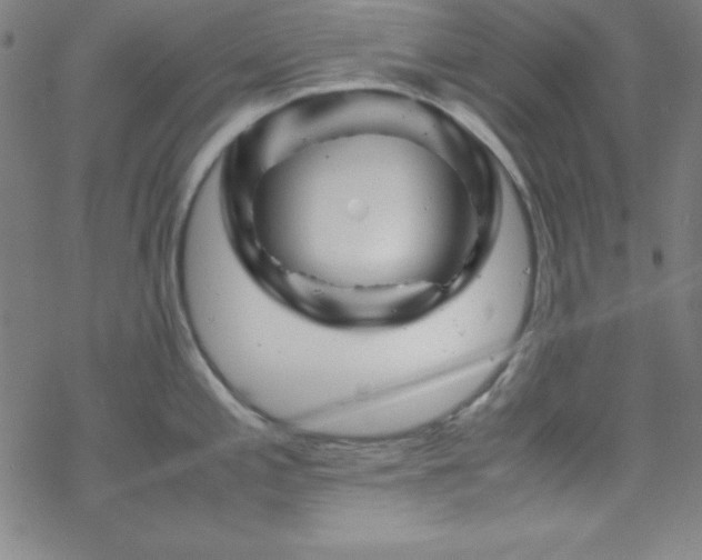 X0000070191197200606021049