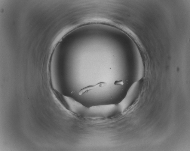 X0000070191199200606021049